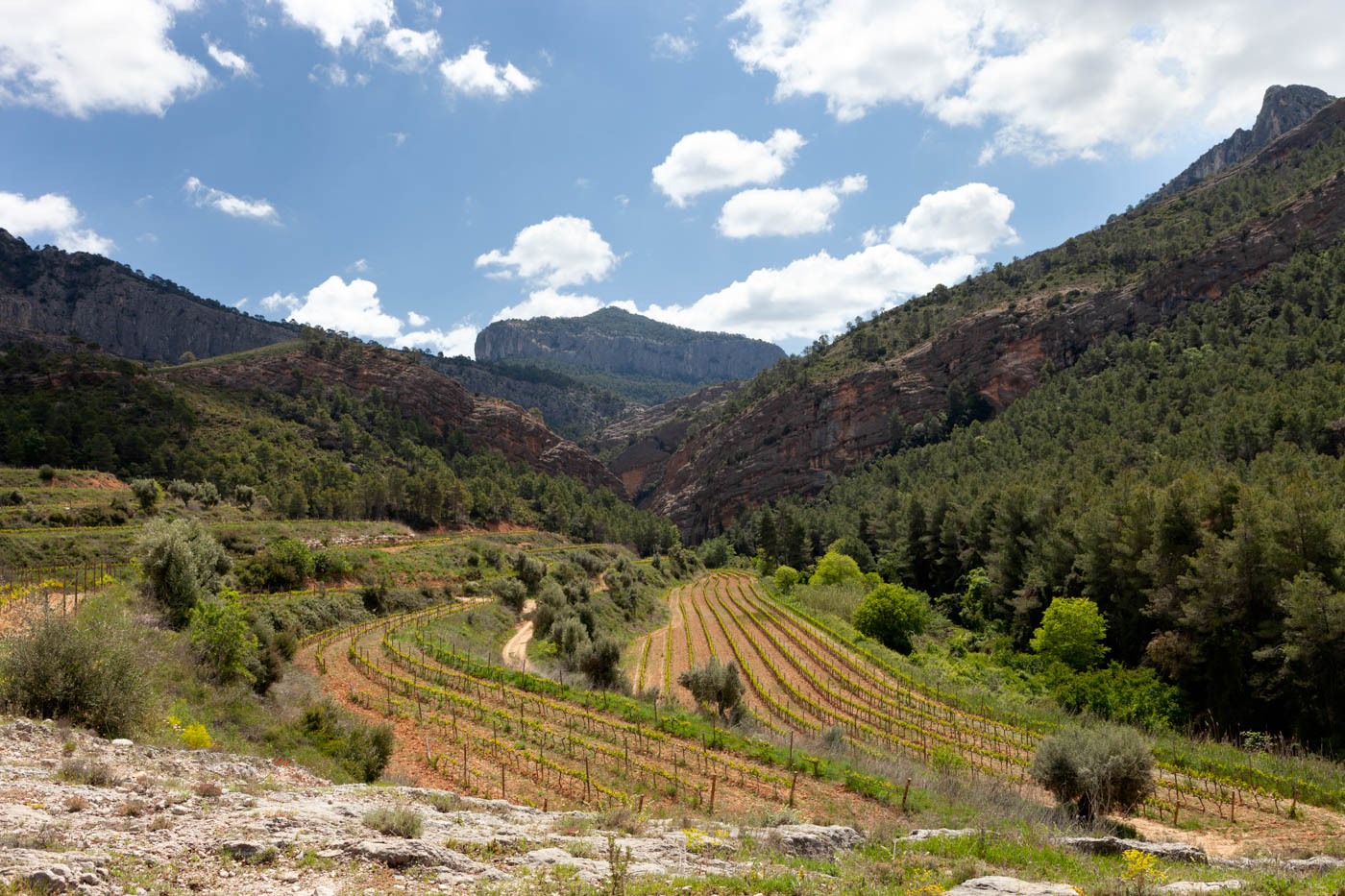 Els Ports a natural protected region worth visiting